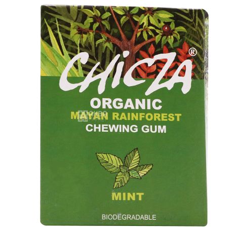 Organic Chewing Gum Mint, 30 g, TM Chicza