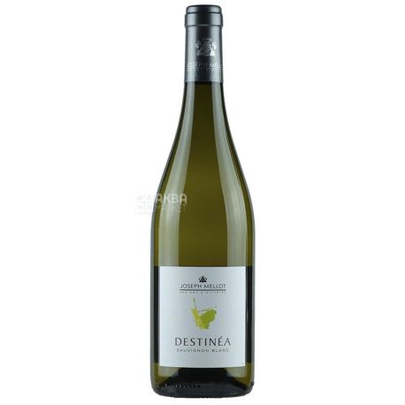 Joseph Mellot Destinea Sauvignon Blanc, Dry White Wine, 0.75 L