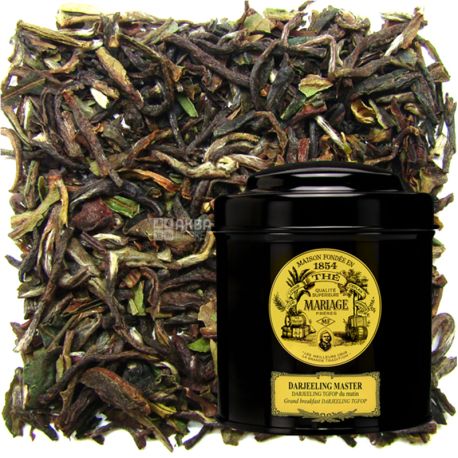 Black tea, Darjeeling Master, 100 g, TM Mariage Freres