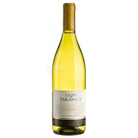 Chardonnay Leon de Tarapaca, Tarapaca, Dry white wine, 0.75 L