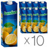 Sandora, Упаковка 10 шт. х 0,95 л, Нектар натуральний Лимонний Сандора