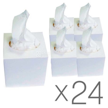 Mirus Cube, 24 упаковки х 75 шт., Салфетки косметические Мирус, 2-х слойные, 20х17 см, белая коробка