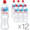 Morshynska, Packing 12 pcs. 0.75 liters, still water, Sport, PET, PAT