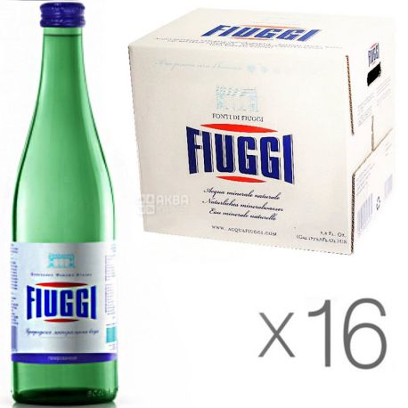 Fiuggi, 0,5 л, Упаковка 16 шт., Вода мінеральна Ф'юджі, газована, скло
