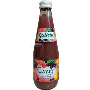 Galicia, 0,3 л, Галиция, Смузи, Яблоко-груша-черника-малина