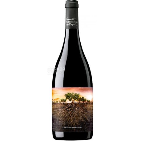 Vintae, La Garnacha Olvidada de Aragon, Вино червоне сухе, 0,75 л