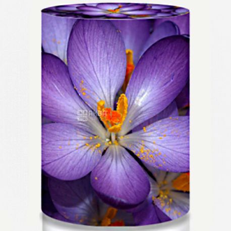 ViO, 19 L Bottle Case, Violet
