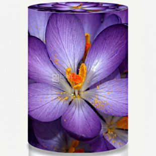 ViO, Чехол для бутыли 19 л, Фиалка