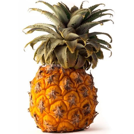 Fresh pineapple, baby