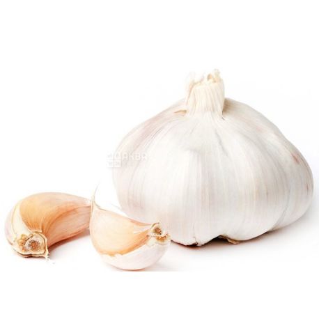 Garlic, 1 PC.