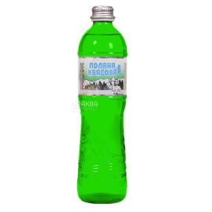 Поляна Квасова, 0,5 л, Вода мінеральна сильногазована, скло