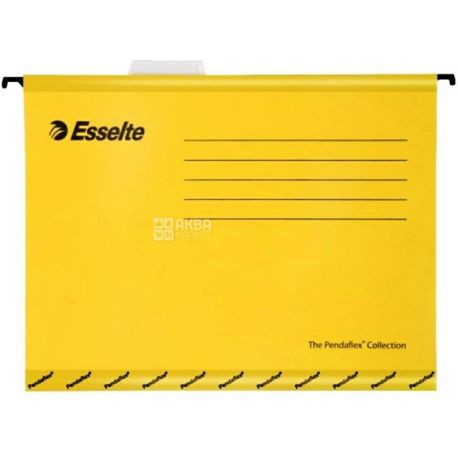Economix, Hanging file A 4, cardboard, yellow