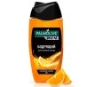 Palmolive Men Citrus charge Shower Gel and Shampoo 2 in 1, 250 ml