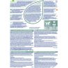 Purina, Cat Chow, Sterilized, 400 г, Сухой корм для стерилизованных котов, с курицей