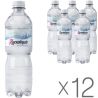 Truskavets, packing 12 pcs. on 0,5 l, still water, Naftusya, PET, PAT