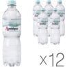 Truskavets, packing 12 pcs. 0.5 l, lightly carbonated water, Naftusia, PET, PAT