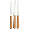 Tramontina Dynamic, 3 pcs, Knife set, for steaks, stainless steel, wood, 127 mm
