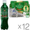 Rudolfuv Pramen, 12 шт. х 0,5 л, Вода минеральная, лечебная, газированная, ПЭТ
