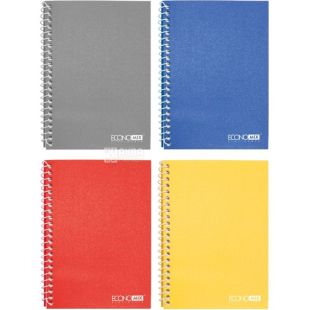 Economix, 80 аркушів, Блокнот A5, бокова спіраль, клітинка, асорті
