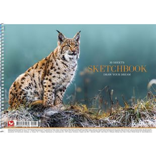 Школярик, 30 аркушів, Альбом для малювання на спіралі, А4, асорті