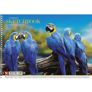 Школярик, 30 аркушів, Альбом для малювання на спіралі, А4, асорті