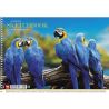 Школярик, 30 аркушів, Альбом для малювання на спіралі, А4, асорті