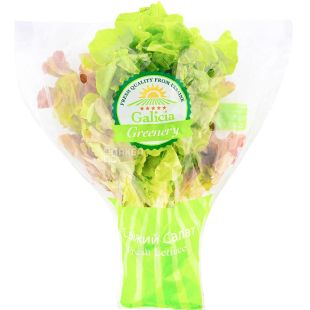 Galicia, Greenery, Дуо, Свежий салат, в горшке