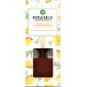 Air Wick Botanica, 80 мл, Диффузор ароматический с палочками, Свежий ананас и тунисский розмарин