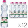 Девайтис, 0,5 л, Упаковка 12 шт., Вода минеральная слабогазированная, ПЭТ