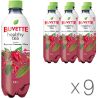 Buvette Healthy tea, Упаковка 9 шт. х 0,5 л, Напій негазований соковмісний Чай Каркаде-Журавлина-М'ята Бювет, ПЕТ