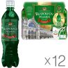 Rudolfuv Pramen, 12 шт. х 0,5 л, Вода мінеральна лікувальна Рудольфув Прамен, газована, ПЕТ