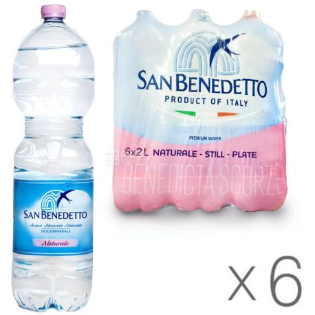 San Benedetto, pack of 6 pcs. 2 l each, still water, PET, PAT - buy  Non-carbonated in Kyiv, water delivery AquaMarket