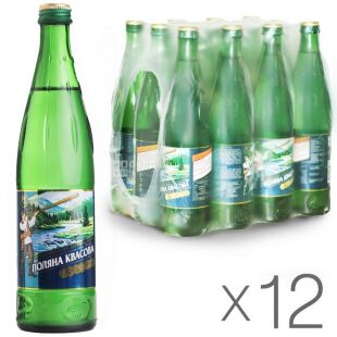 Поляна Квасова, 0,5 л, Упаковка 12 шт., Вода мінеральна сильногазована, скло