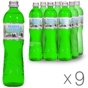 Поляна Квасова, 0,5 л, Упаковка 9 шт., Вода мінеральна сильногазована, скло