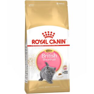 Royal Canin, British Shorthair Kitten, 2 кг, Корм сухой, для котят породы Британская короткошерстная