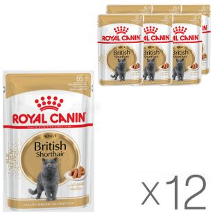 Royal Canin, British Shorthair Adult, Упаковка 12 шт. х 85 г, Корм вологий, Для котів породи Британська короткошерста, від 1 рок