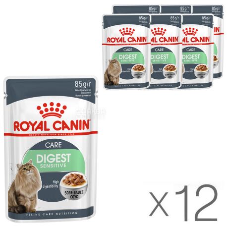 Royal Canin Digest Sensitive Gravy Pack of 12 85 g Wet food