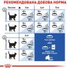 Royal Canin Indoor, 400 г, Сухий корм для домашніх котів