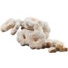 Biscotti, 2 кг, Бискотти Ромашка, Печенье песочное в сахарной пудре