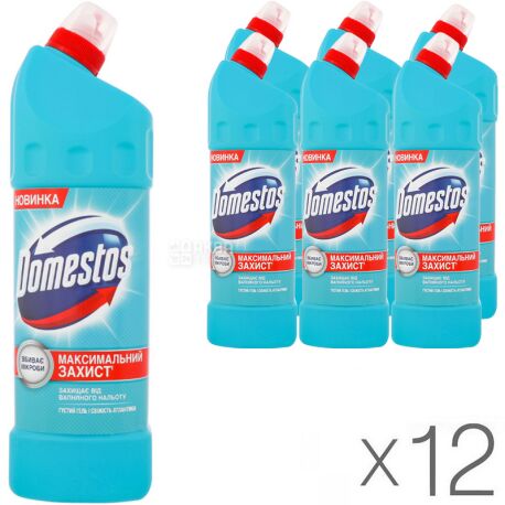 Domestos, Packing 12 pcs. on 1 l, Means for clarification, Freshness of Atlantic, PET