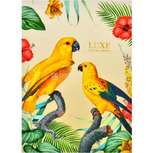 Школярик, 1 шт., Тетрадь в клеточку А4, 80 листов, в ассортименте