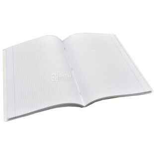 Школярик, 1 шт., Тетрадь в клеточку А4, 80 листов, в ассортименте