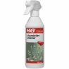 HG, Chandelier spray cleaner, 500 мл, ЕйчДжи, Спрей для чищення світильників і люстр
