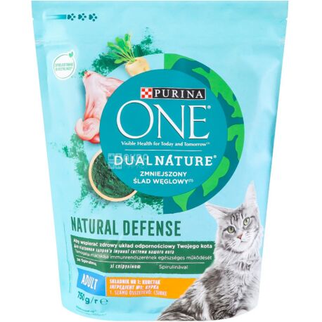 Purina One Dry cat food with chicken flavor 750 g buy Dry food