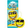 Areon Smile Summer Dream, Подвеска-ароматизатор Ареон Смайл для автомобиля, Летняя мечта, сухая