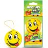 Areon Smile Tutti Frutti, Подвеска-ароматизатор Ареон Смайл для автомобиля, Тутти  Фрутти, сухий