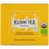 Kusmi Tea, 20 шт. х 2г, Суміш чаїв ББ Детокс, зелений, органічний, у пакетиках