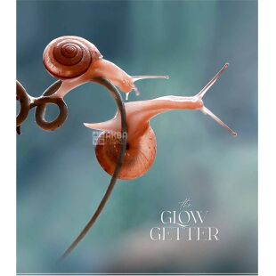 Школярик, 48 листов, Тетрадь в линию, в ассортименте