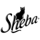 Sheba